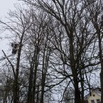 Grüen-Dienst