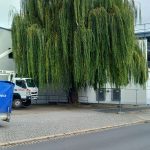 vorher