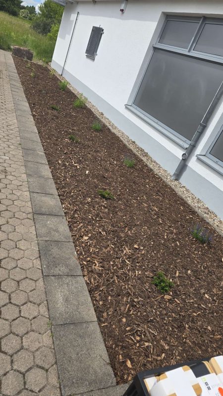 Rabatte fertig